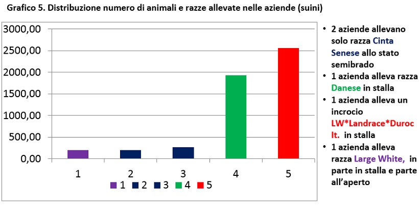 suini allevamento toscana numero capi