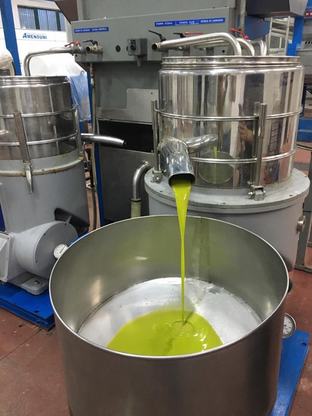 Produzione dell'olio extravergine di oliva