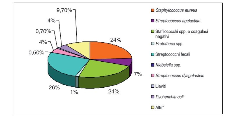 grafico patologie ambientali