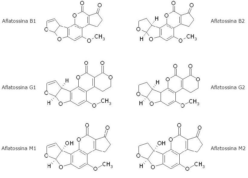 aflatossine chimica struttura famiglia