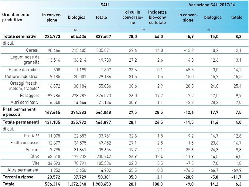 biologico superfici ettari produzione italia