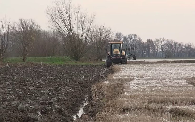 campi lomellina agricoltura