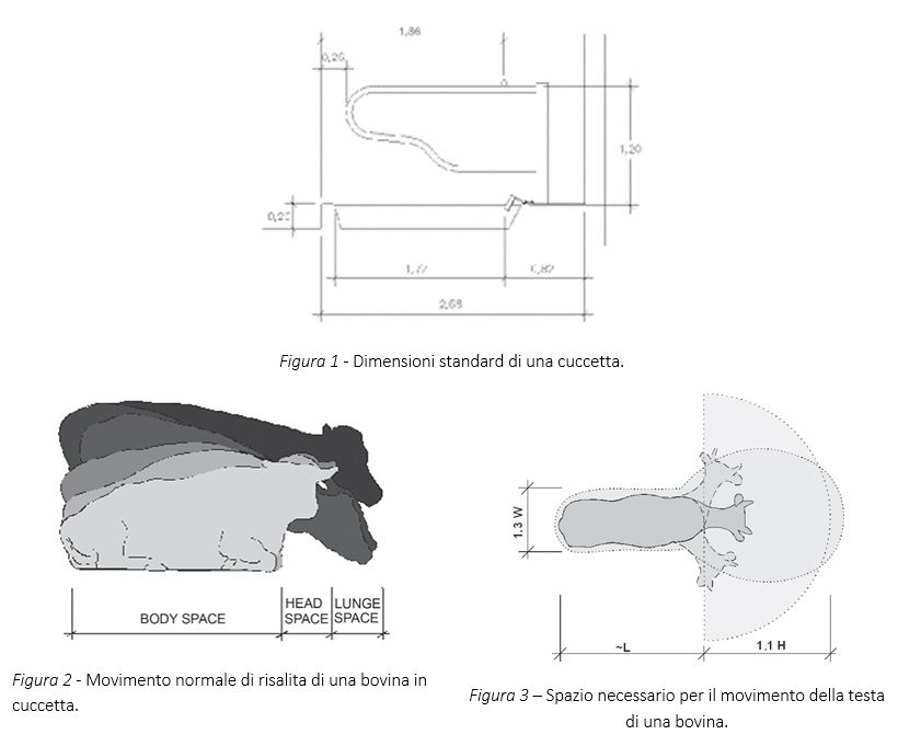misure standard cuccette bovini stalla