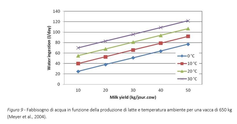 fabbisogno acqua bovini latte