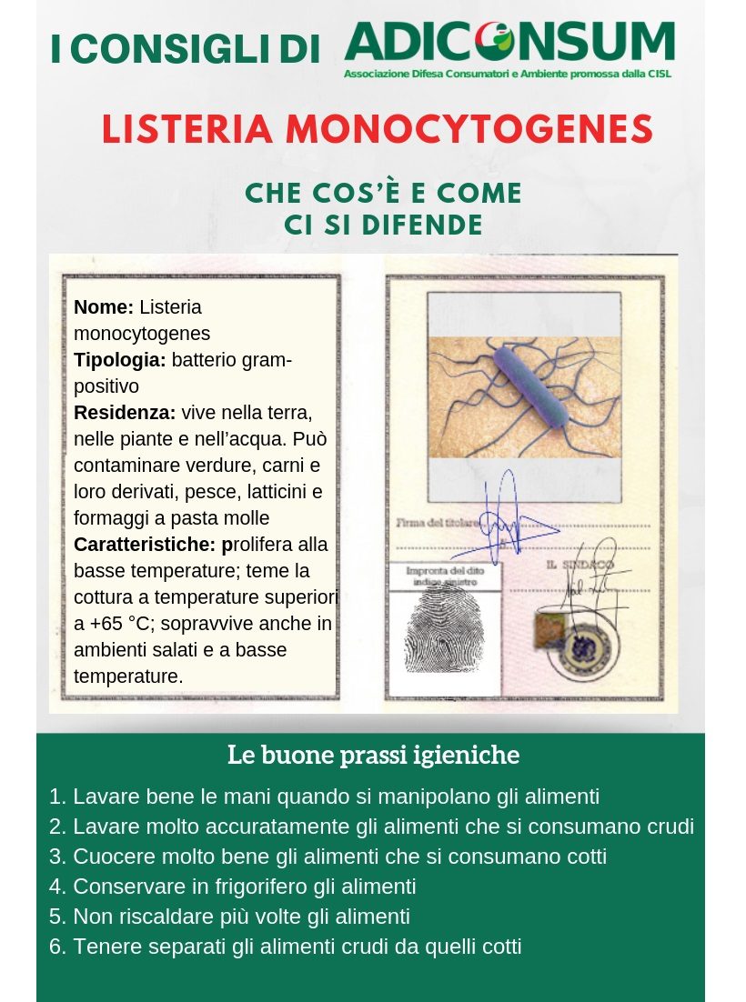 listeria batterio infezione malattia difesa