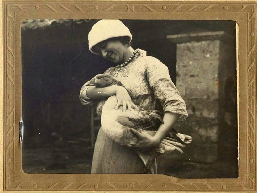 oca campana storia