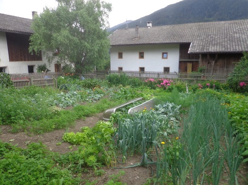 Orto-giardino in Alto Adige