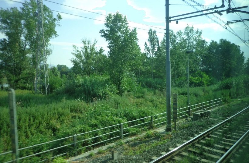 parco della piana lavorazioni agricole