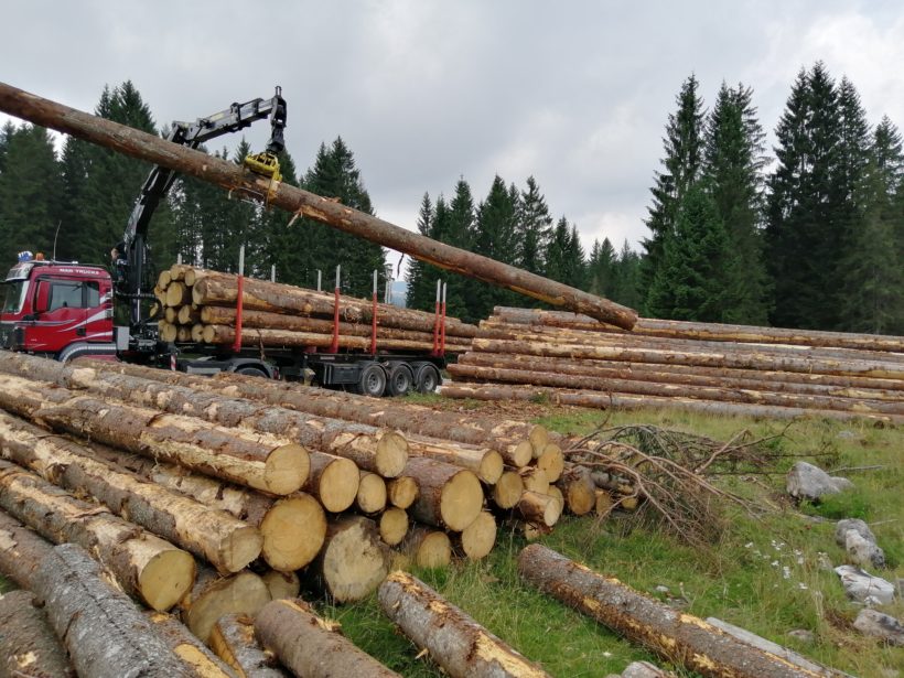 tronchi lunghi carico camion certificazione pefc fsc legno foresta