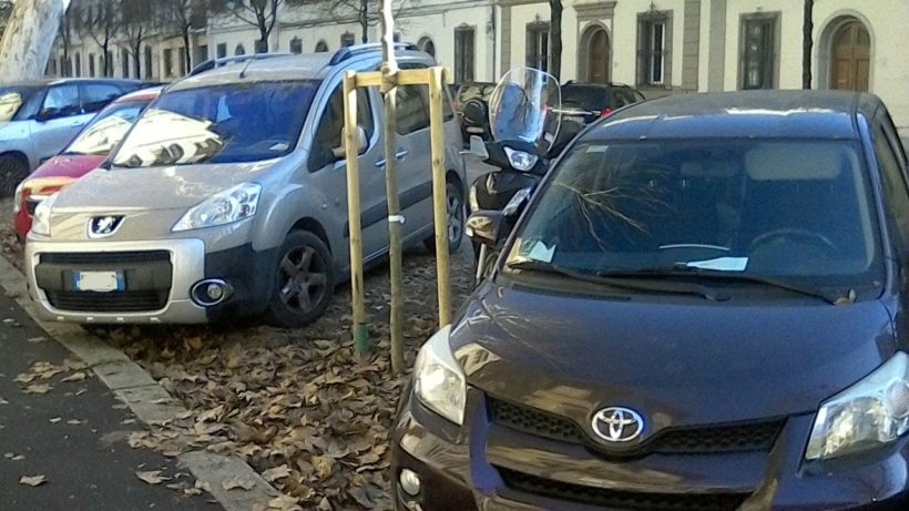 alberi firenze regolamento verde traffico città