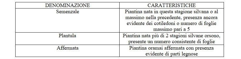 rinnovazione faggio classificazione