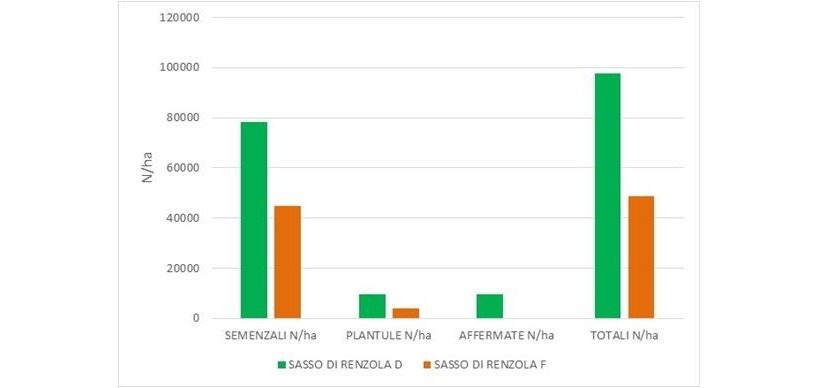 grafico chiudende faggio rinnovazione bosco