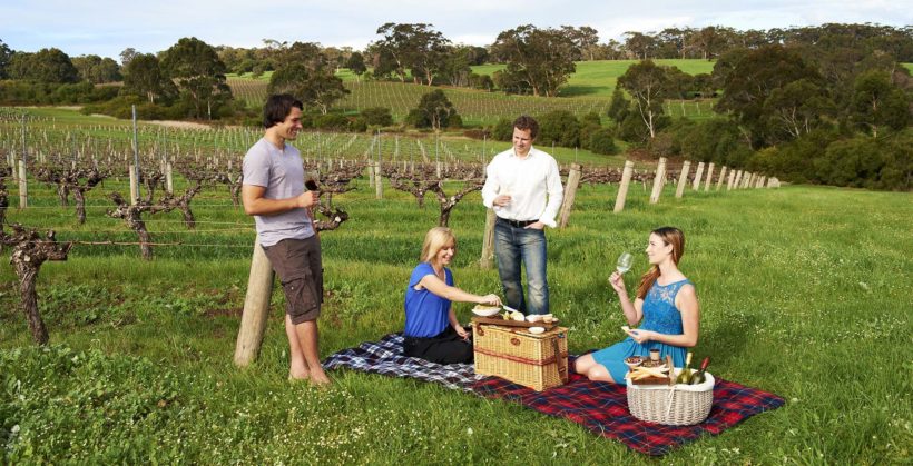 vigneto australia vino