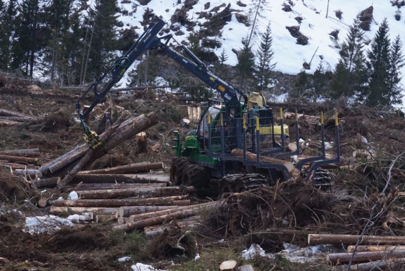 taglio esbosco legname vaia cantiere forestale