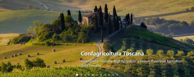 vino toscana perdite crollo coronavirus