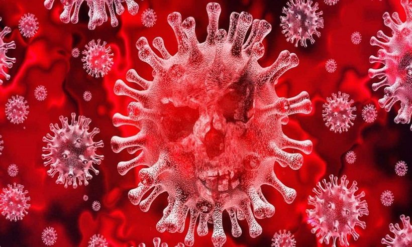 certificazioni alimentari corona virus