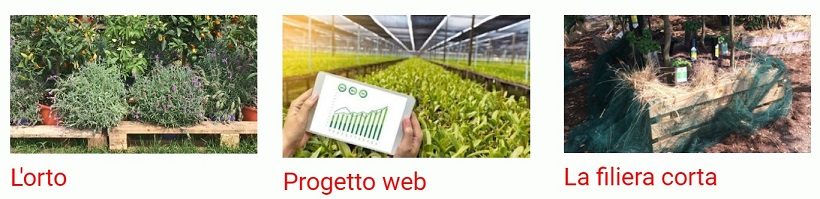 progetto web digitale agricoltura agricolo azienda agroalimentare internet