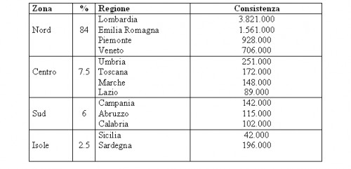 Suini: Tecnica di allevamento