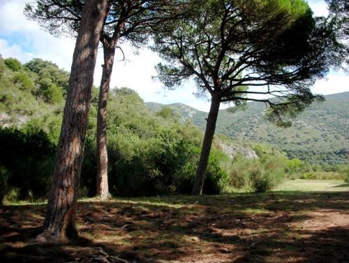 Le risorse forestali della Toscana