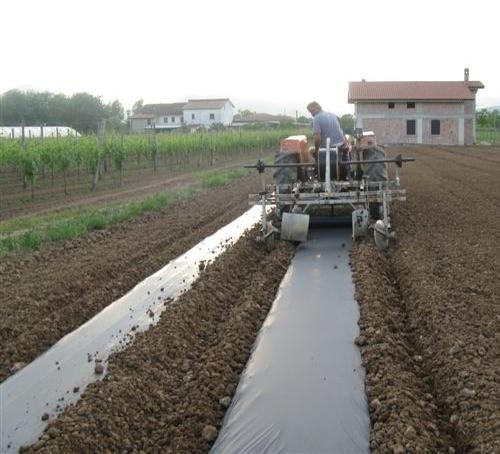 Film biodegradabili  per la pacciamatura del suolo