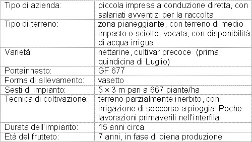 Esame di Maturità: Prova di Estimo