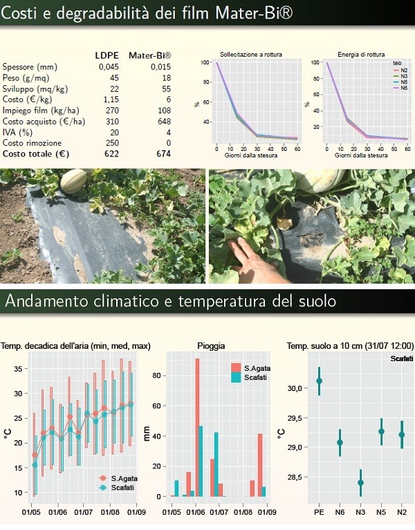 Film biodegradabili nella pacciamatura del melone