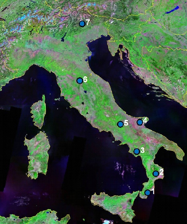 Il Faggio in Italia: dendrocronologia e cambiamenti climatici