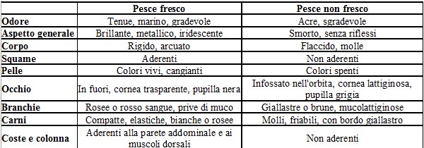 Come riconoscere il pesce di qualità in commercio