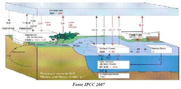 Produzione di umati solubili mediante lisciviazione del carbone Sulcis