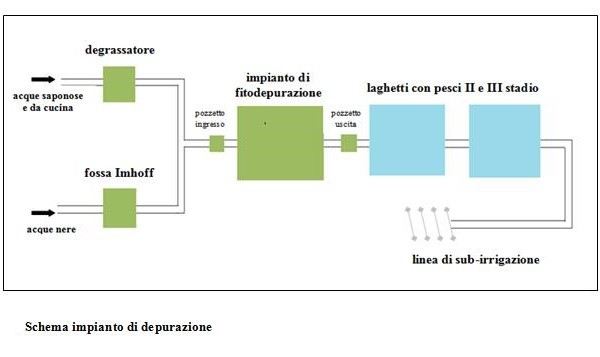 La Fitodepurazione: una risorsa per il futuro