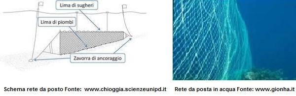 La pesca tradizionale a Livorno