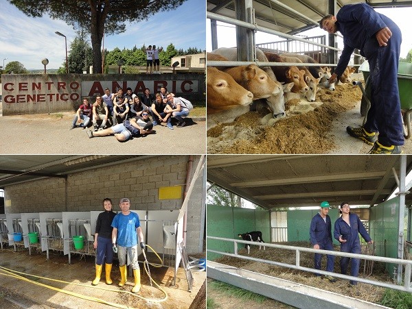 Gli studenti del “De Sanctis” di Avellino tornano nel Mugello