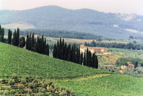 Il vino Chianti, una tradizione che sta scomparendo