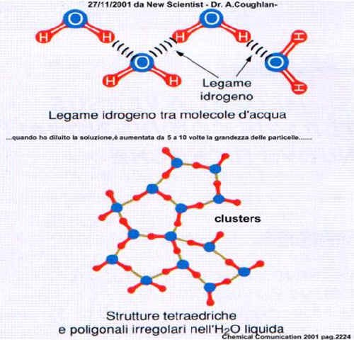 Omeopatia nei piccoli animali (1^ Parte)