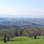 colline Firenze