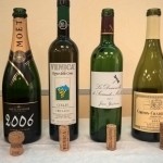 I vini in degustazione