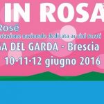 Italia in Rosa - Degustazioni vini