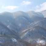 bosco rasora castiglione dei pepoli bologna neve foresta montagne appennino bolognese