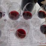 aglianico aglianicone vino vitigno uva vinitaly