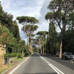 abbattimento alberi firenze piante taglio autorizzazione comune privato giardino