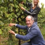 vendemmia analcolica veneto zaia vino alcol