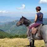 Come organizzare un trekking a cavallo