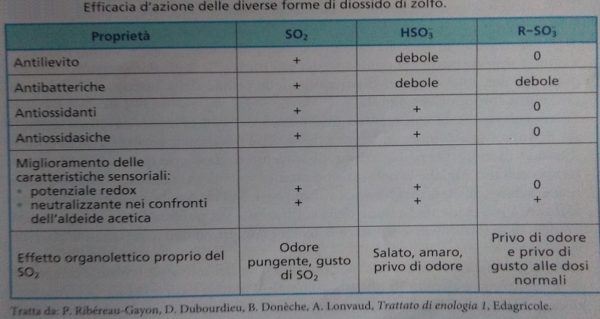 Approfondimenti sull’effetto della SO2 nei vini - Rivista di Agraria.org