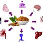 Dimagrire mangiando? …è proprio il caso di dirlo?!