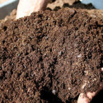 Fertilizzare con il compost