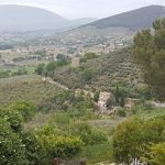 Domanda di Ruralità