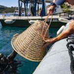 uva vino mare marino acqua nesos isola elba