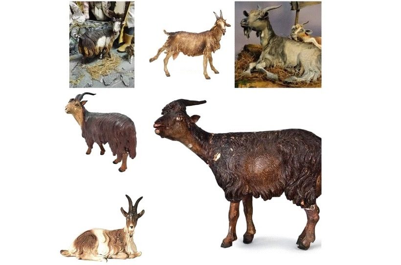 Collari Capra Con Campanelli Per Bovini, Cavalli E Ovini, Campanelli In Cavalli E Ovini Campanelli In Rame Collari Regolabili In Nylon Collari Anti Smarrimento