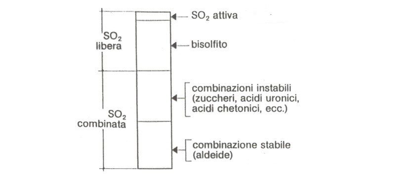 solfini vini naturali anidride solforosa