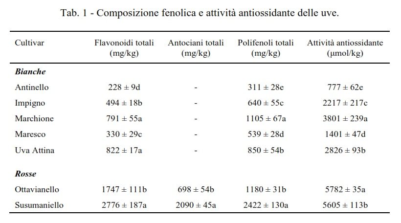 composizione fenolica antiossidante uve